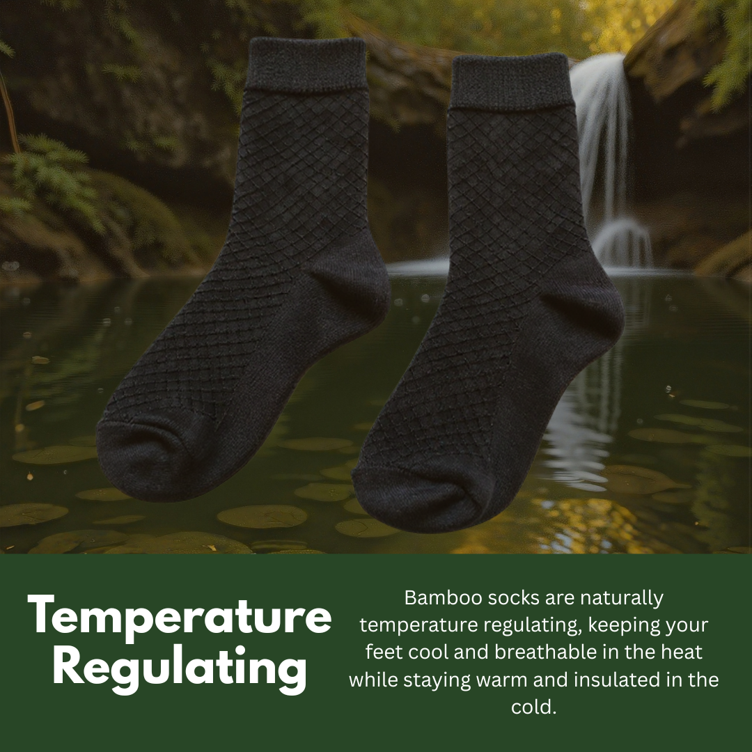 Bamboo Socks (5 Pairs)